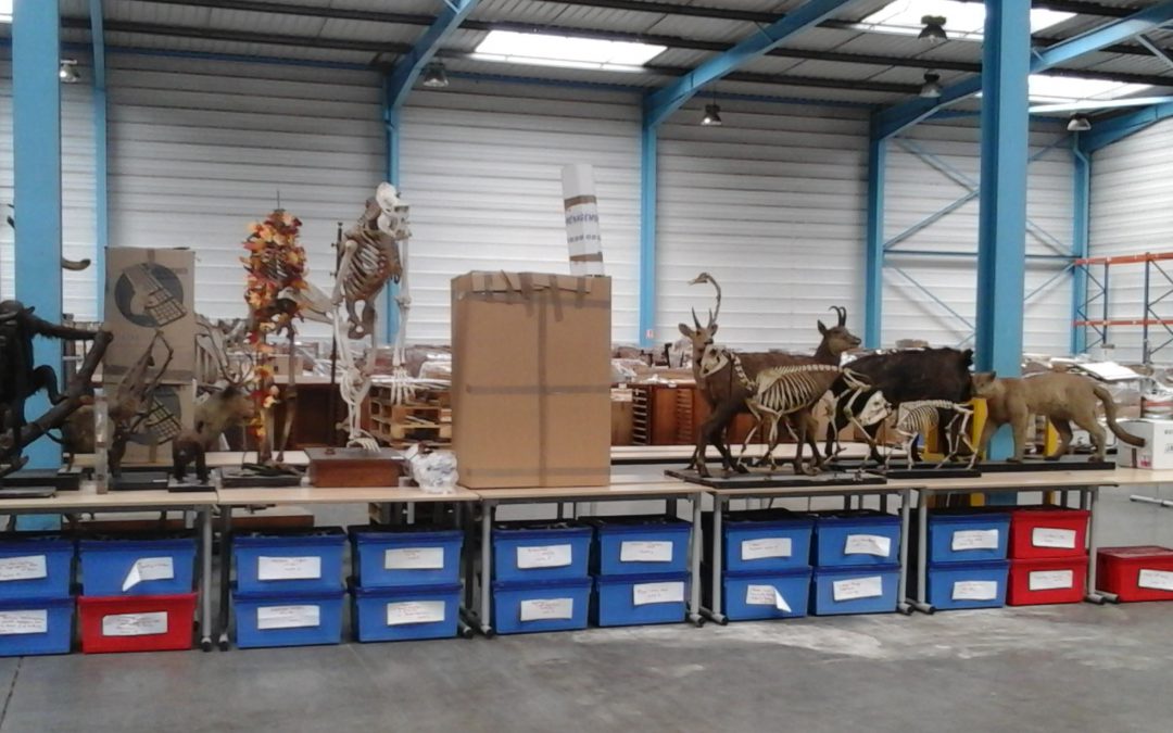 transport-doeuvres-dart